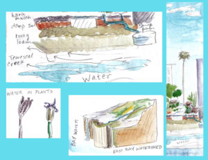 images of nature journal sketches