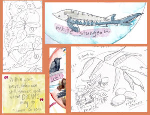 Mosaic of nature journal sketches