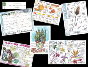 Cover image of selected nature journal pages