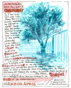 Image of oak tree in watercolor with text describing the process of journaling the tree.