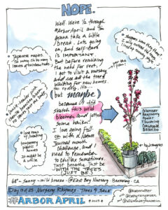 Sketch of a flowering tree with 4 haiku poems.