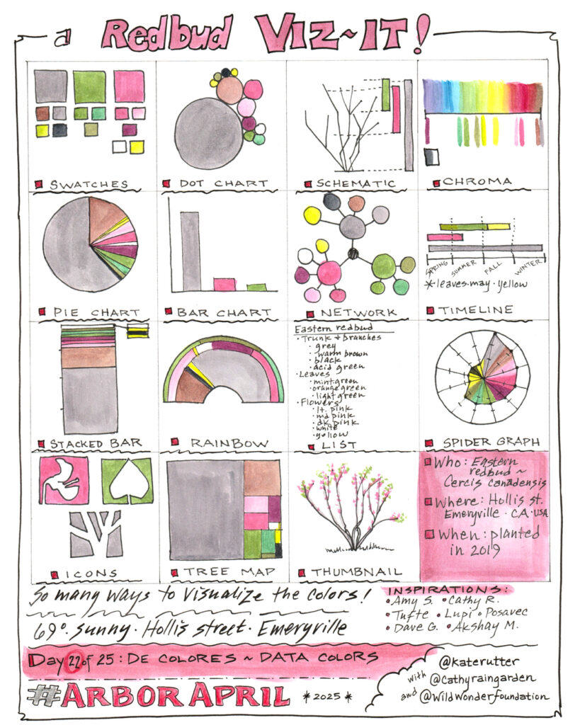 16 data visualizations of the colors on an eastern redbud tree in April.