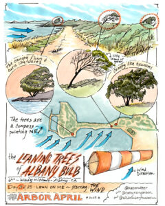 Nature journal sketch of three windbent trees at Albany Bulb, CA.
