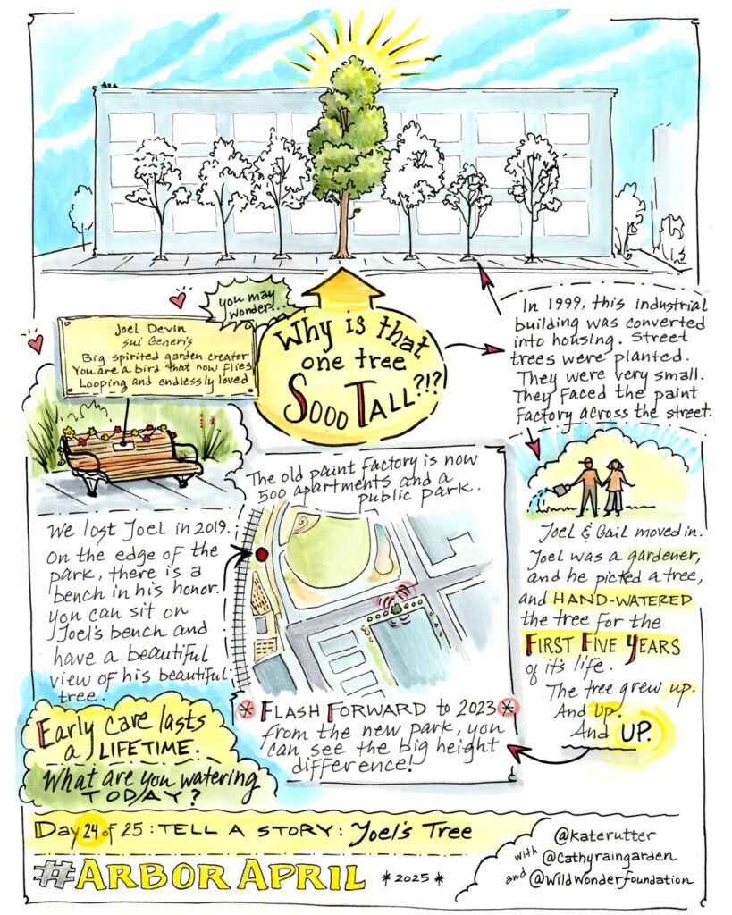 Visual story about a very tall tree and how it was watered for the first five years by a man named Joel.