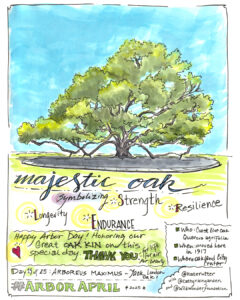 Sketch of the Jack London Oak in Frank H Ogawa Square, downtown Oakland CA