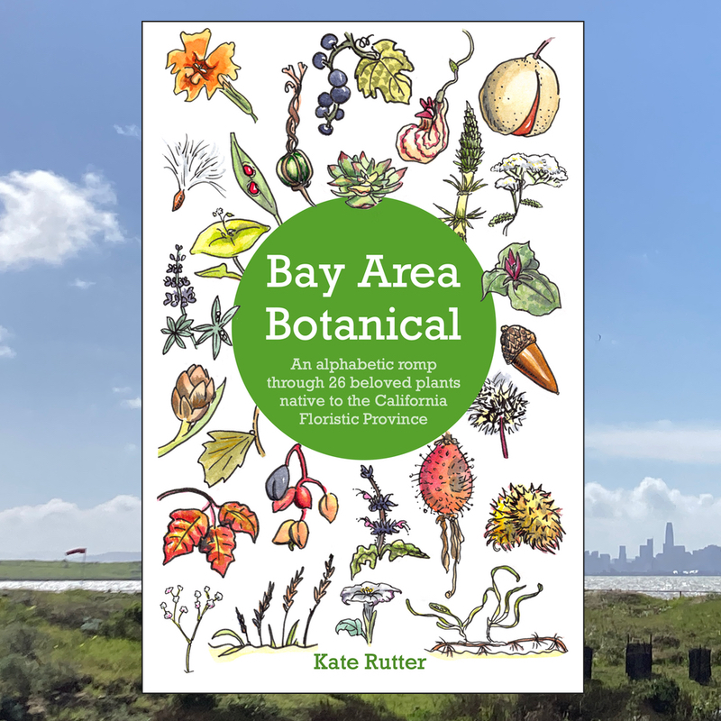 Cover of book Bay Area Botanical superimposed over a view of the San Francisco Bay