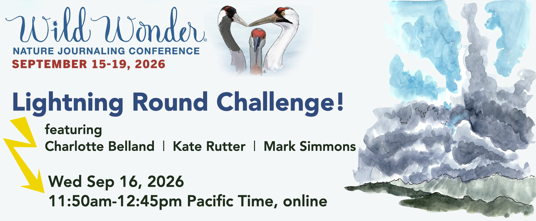 Banner showing Wild Wonder conference logo of 3 cranes, and a cloud with a lightning bolt.